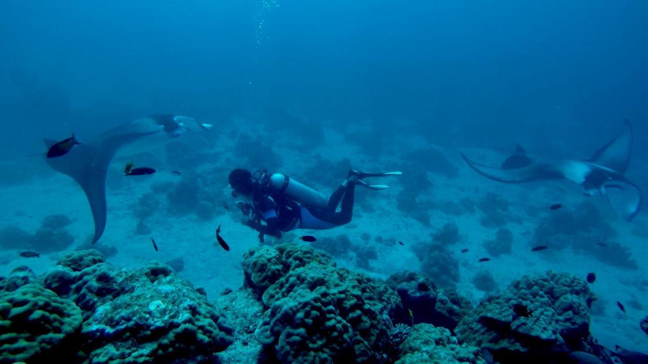Rasdhoo 马尔代夫拉斯胡环礁旅馆酒店 外观 照片