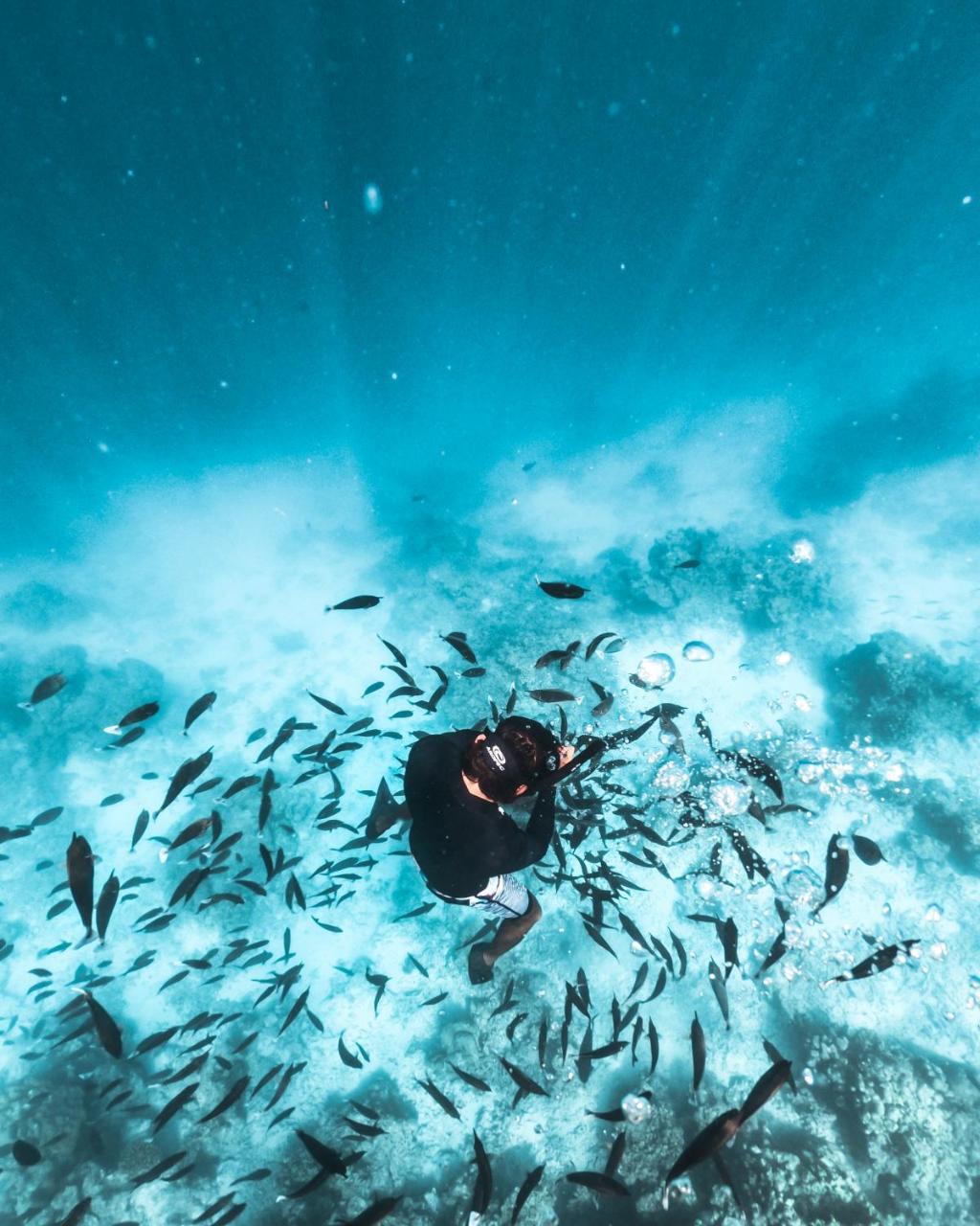 Rasdhoo 马尔代夫拉斯胡环礁旅馆酒店 外观 照片