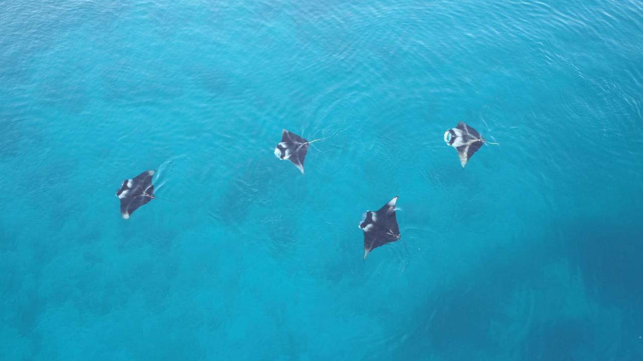 Rasdhoo 马尔代夫拉斯胡环礁旅馆酒店 外观 照片
